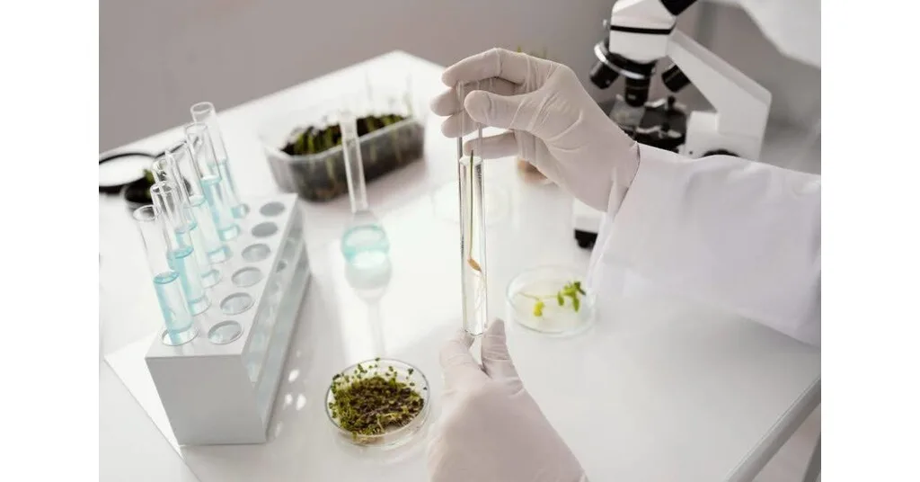 Plastry peptydowe: Przyszłość bez igieł dla zdrowia i regeneracji?