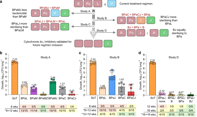 Inhibidores de citocromo bc1: ¿Nueva esperanza para tratar la tuberculosis?