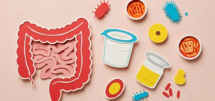 Era del Reset Intestinal 2026: Redefiniendo la Pérdida de Peso y la Salud Digestiva