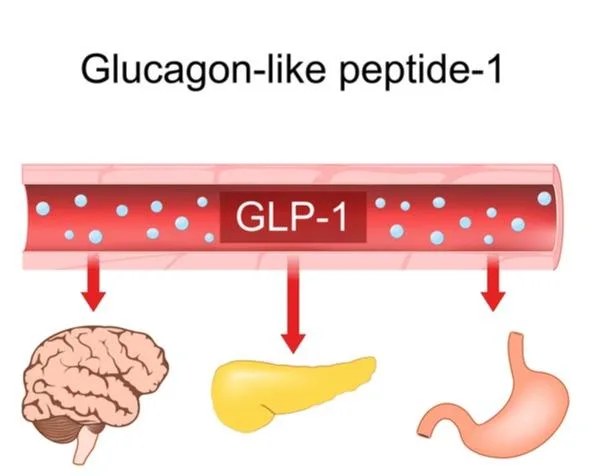 GLP-1 Agonist Market Surge: A Metabolic Shift Transforming Diabetes Treatment and Global Obesity Management