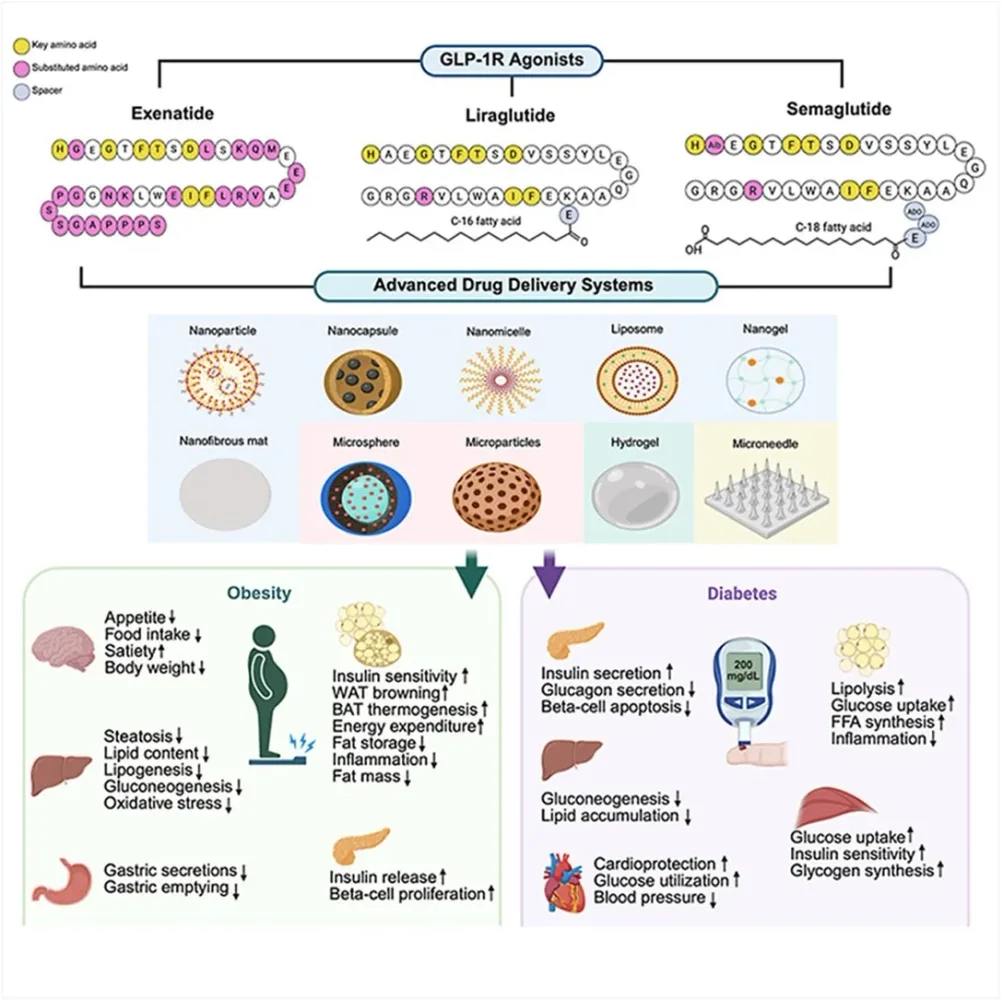 Beyond the Injection: The Future of GLP-1 Therapies
