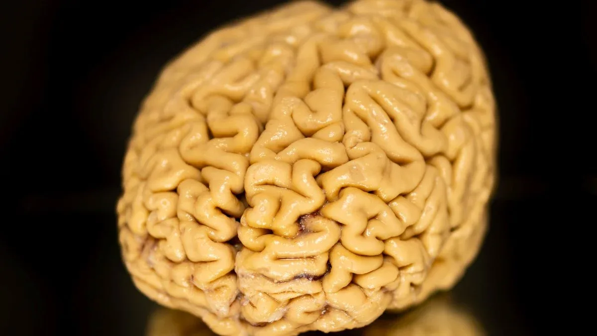 This Week in Science: Ozempic's Joint Benefits, Superagers Secrets & More