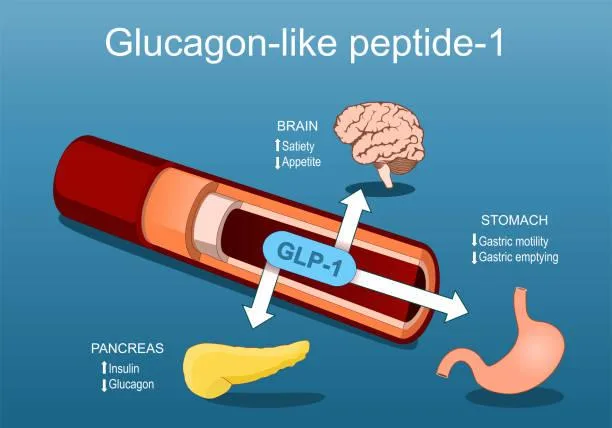 Ozempic, Wegovy, Mounjaro: The GLP-1 Revolution Reshaping Health